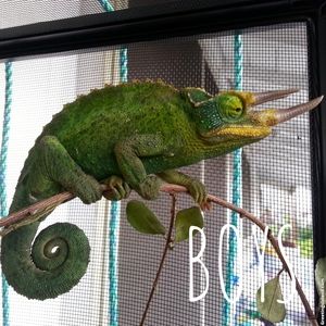 👕🎽👖🧦👟👟👞👞🧢